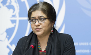 Sara Hossain